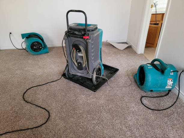 Reliable HI Water damage restoration Solutions