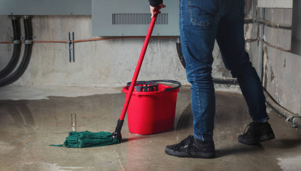Carpet water damage restoration in HI
