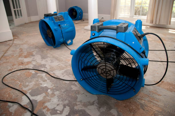 Best Fire Damage Restoration  in Lawai, HI