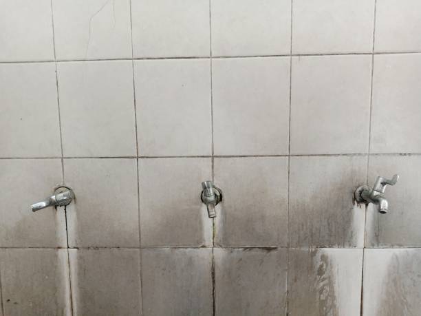 Best Sewage cleanup and water damage restoration  in Lawai, HI