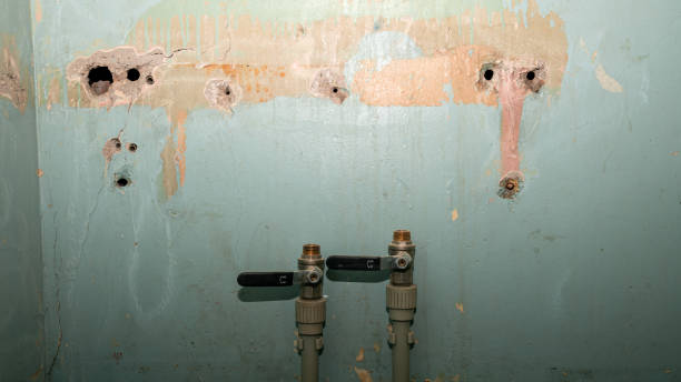 Best Local water damage restoration  in Lawai, HI